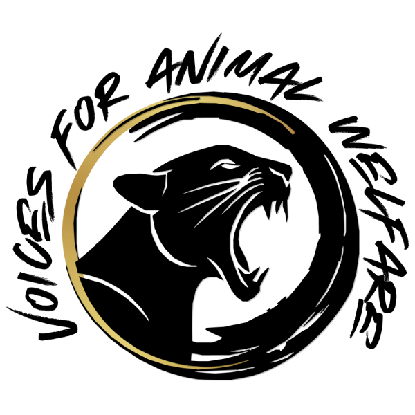 VFAW Logo
